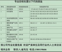 固體廢鹽處置